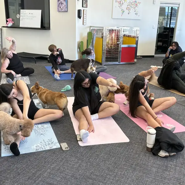 Playful puppy at a K9 Rox Club yoga class